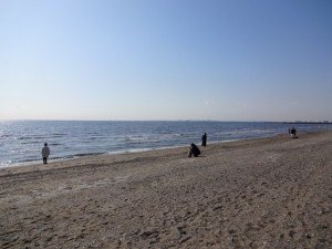3月の稲毛海浜公園の風景 その1