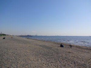 3月の稲毛海浜公園の風景 その2